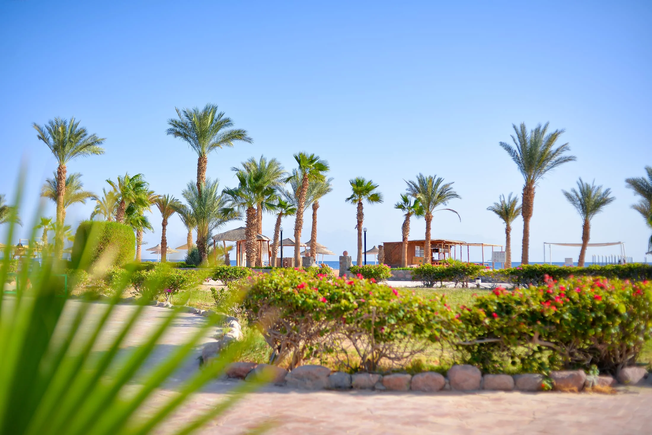 TIME Coral Nuweiba Resort — photo 8
